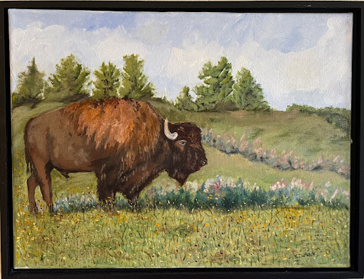 Buffalo in Yellowstone